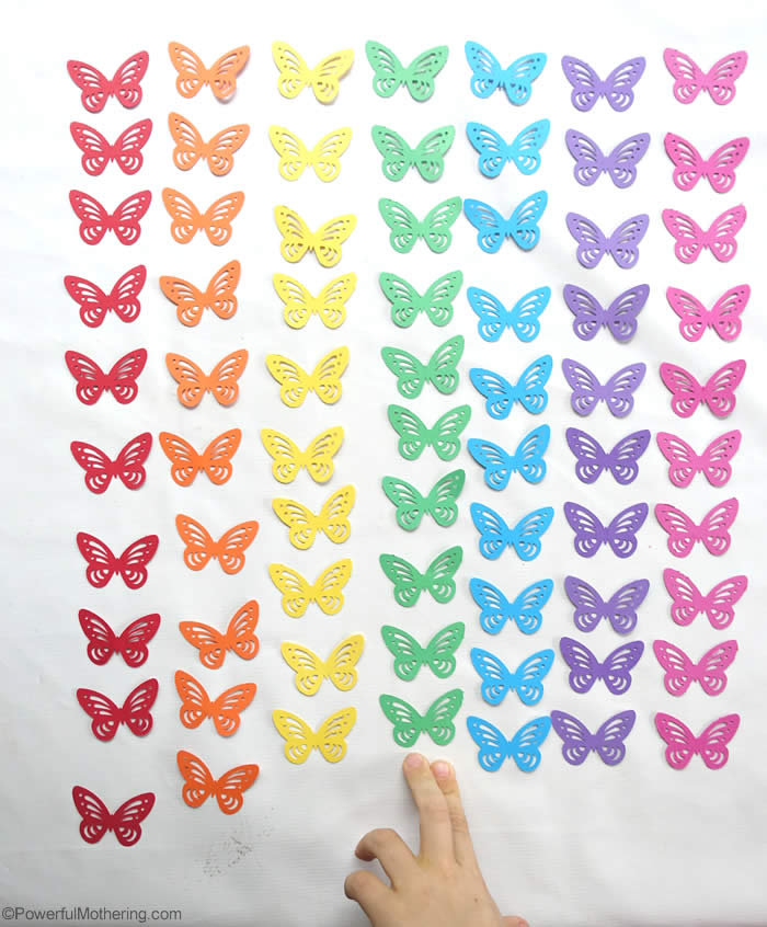 Butterfly Count & Color Sort