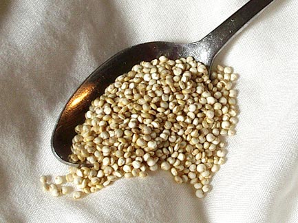Great Nutritional & Preparation Facts about Quinoa