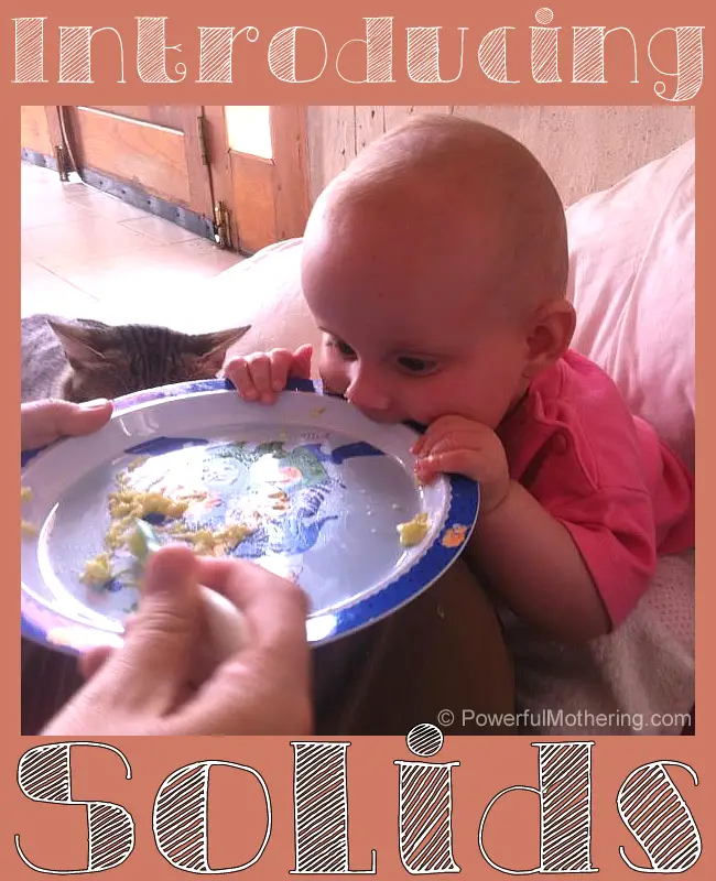 Introducing Solids For Baby Weaning