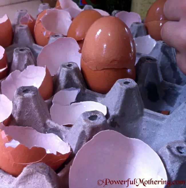 How To Dye Egg Shells For Kids Crafts
