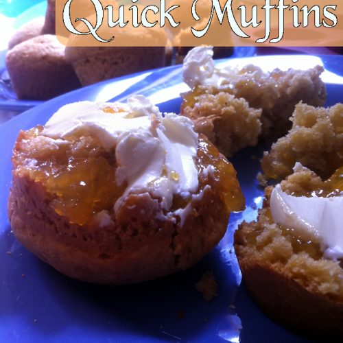 Quick Tasy Easy Muffin Recipe