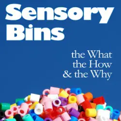 $2.99 Sensory Bins The what, the how and the why