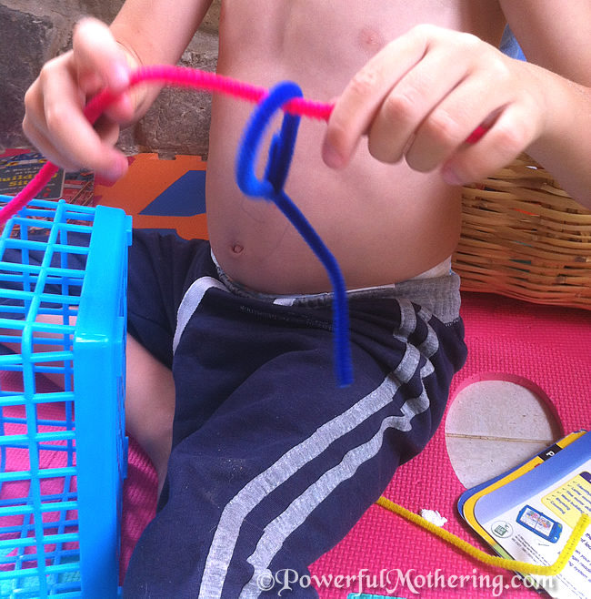 Discovering with Pipe Cleaners