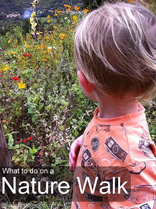 what to do on a nature walk
