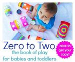 Zero to Two the Book of Play