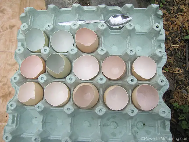 clean your egg shells