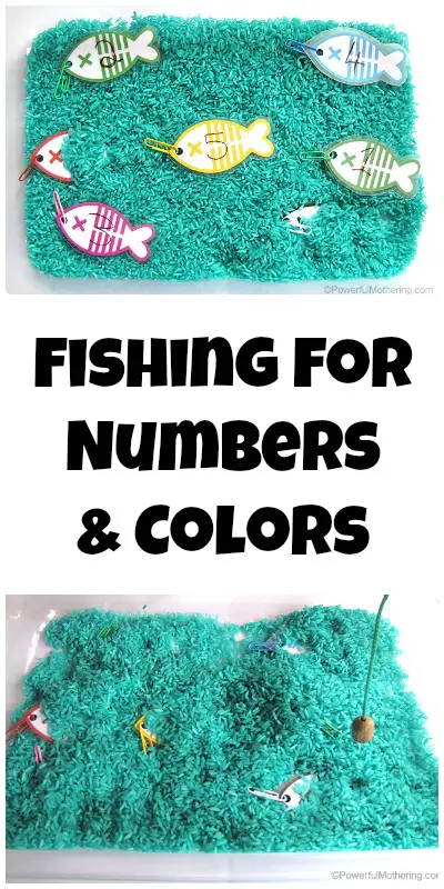 fishing for numbers and colors