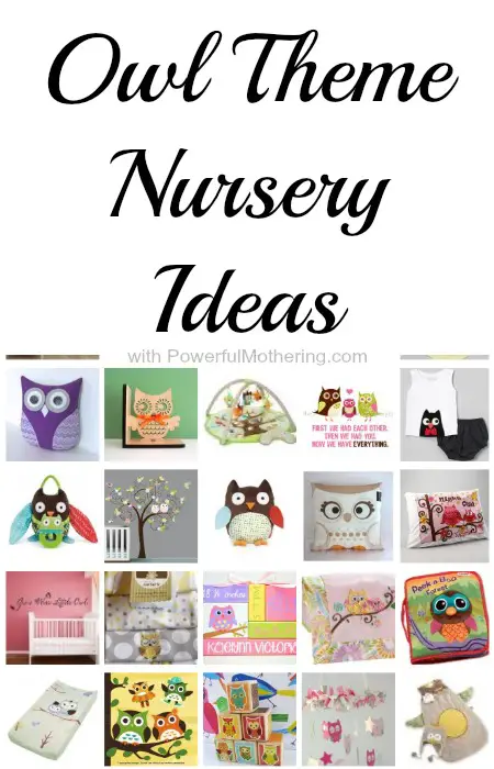 Owl Theme Nursery Ideas
