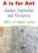 A is for Ant – Garden Exploration and Resources