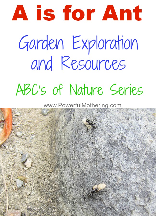 A is for Ant Garden Exploration and Resources