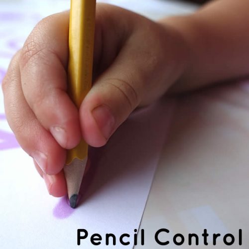 Pencil Control for Early Learners