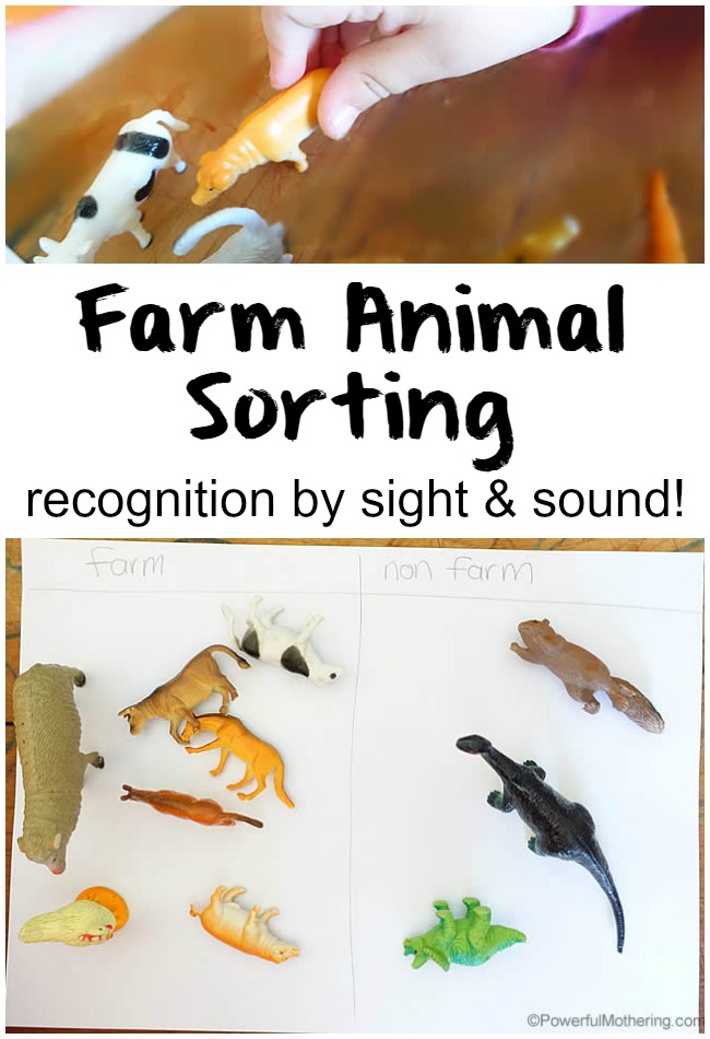 farm animal sorting sight and sound