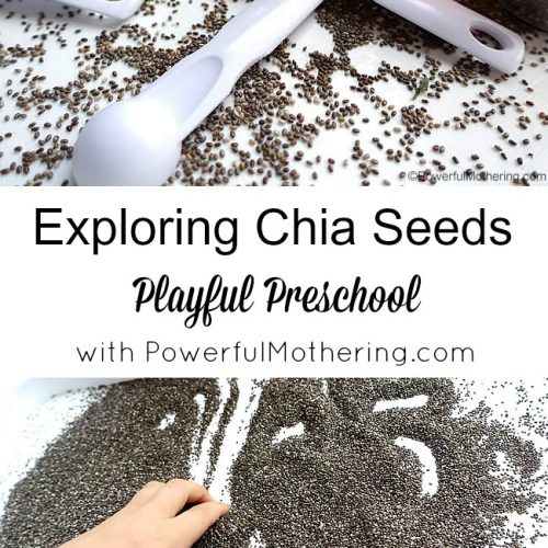 Exploring Chia Seeds