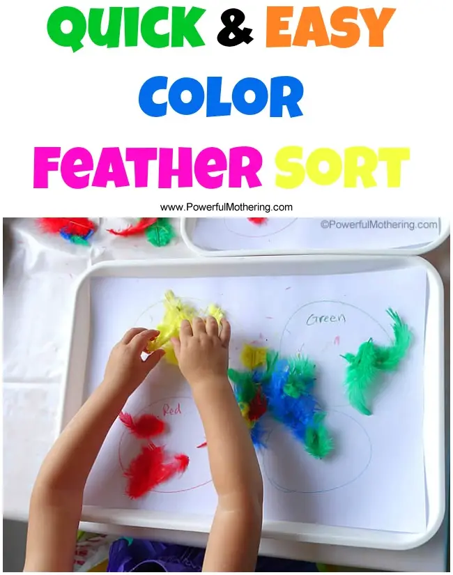 Quick & Easy Color Feather Sort from PowerfulMothering.com