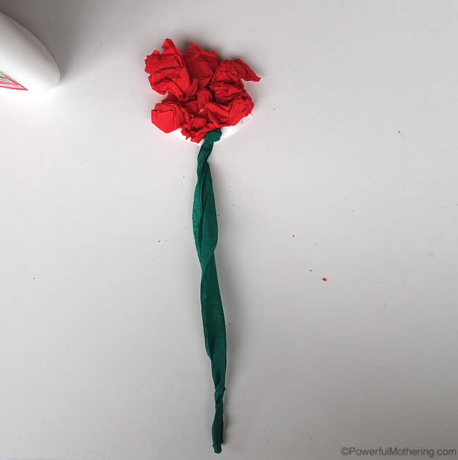 a perfect rose flower