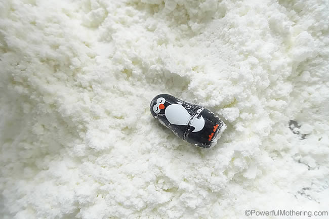 little penguin in the snow