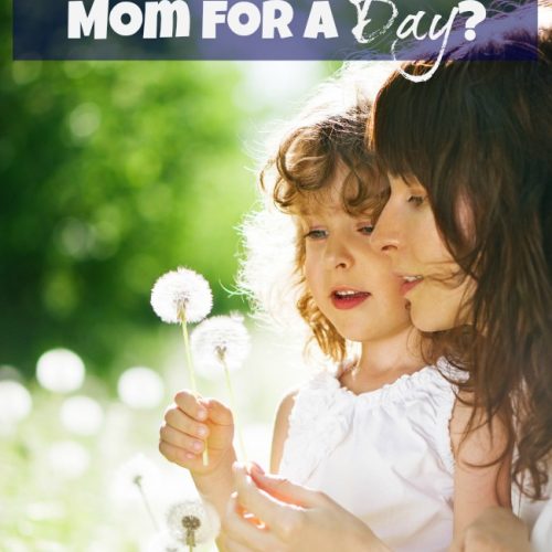 Could You be a YES Mom for a Day