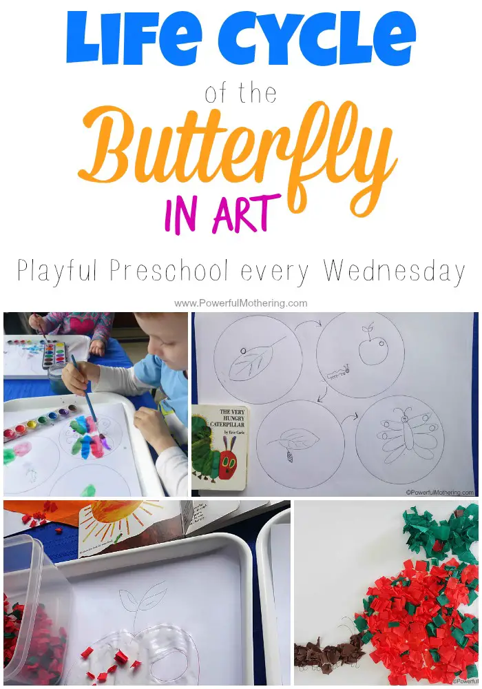 Life Cycle of the Butterfly in Art
