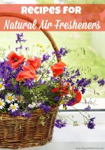 Recipes for Natural Air Fresheners