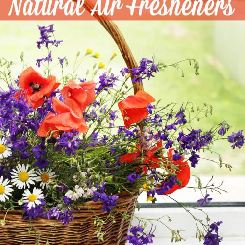 recipes for natural air fresheners from powerful mothering
