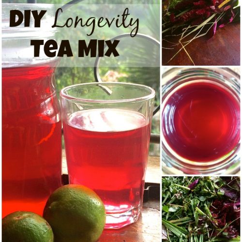 DIY Longevity Tea Mix