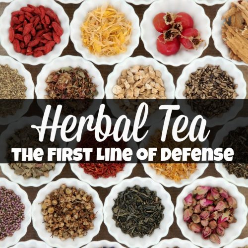 Herbal Tea the First Line of Defense