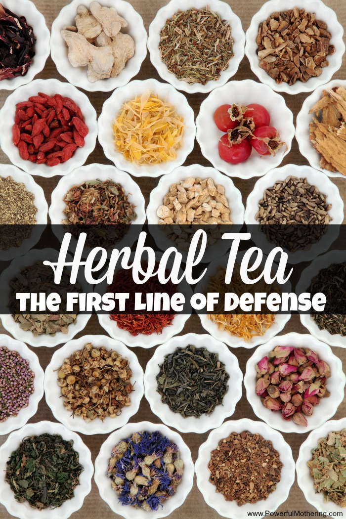 Herbal Tea the First Line of Defense