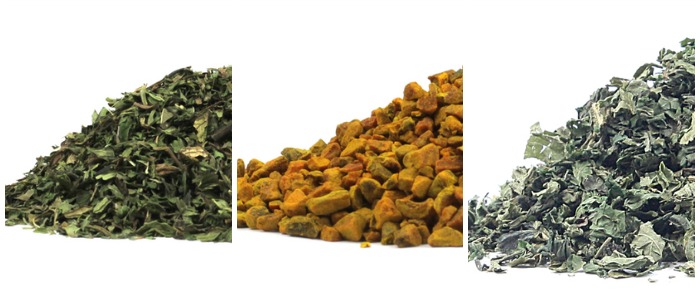 medicinal herbs in bulk