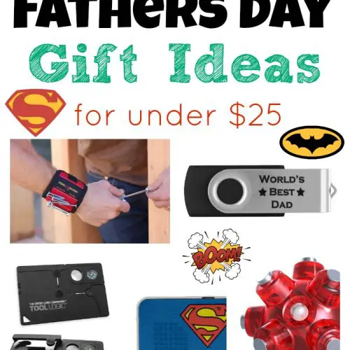 Cheap Fathers Day Gift Ideas for under $25
