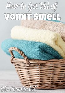 how to get rid of vomit smell