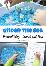 Under the Sea Pretend Play plus Search and Find