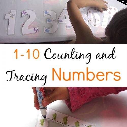 1-10 Counting and Tracing Numbers printable