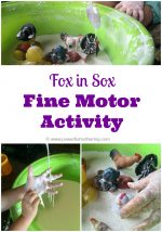 Fox in Sox (by Dr Seuss) Fine Motor Activity