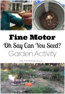 Fine Motor Oh Say Can You Seed Garden Activity