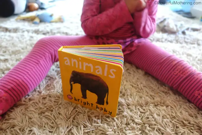 animal book for picture matching