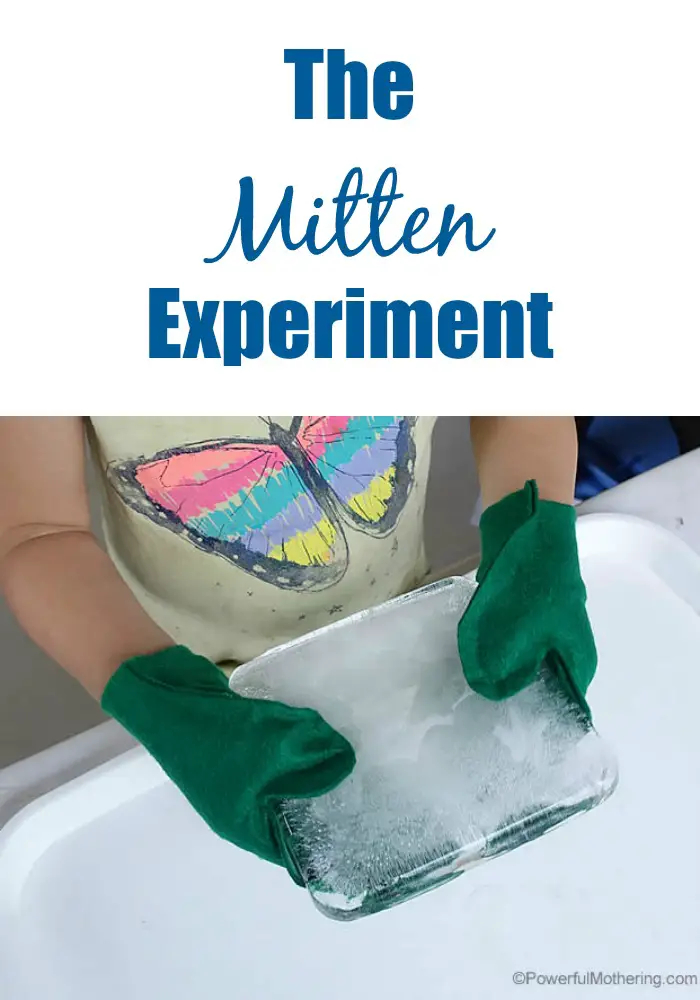 The Mitten Experiment