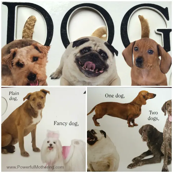 learn to read dog