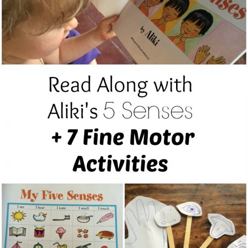 Read along and fine motor activites