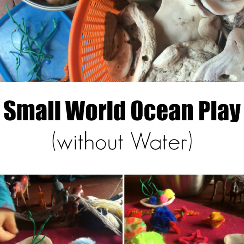 Small World Ocean Play (without Water)