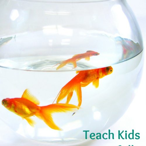 Teach Kids How to Successfully Keep Pet Goldfish