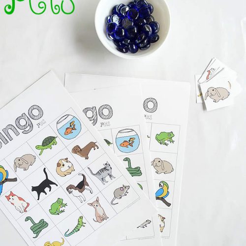 bingo pets a game for preschoolers