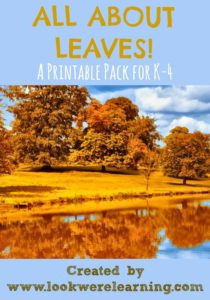 All About Leaves Printable Pack