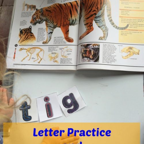 Letter Practice and Read Along Activity