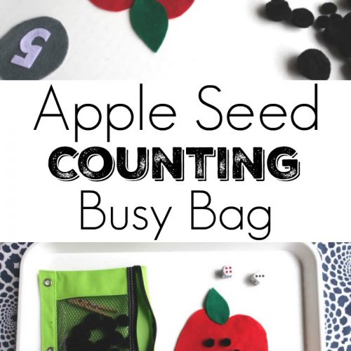 Apple Seed Counting Busy Bag