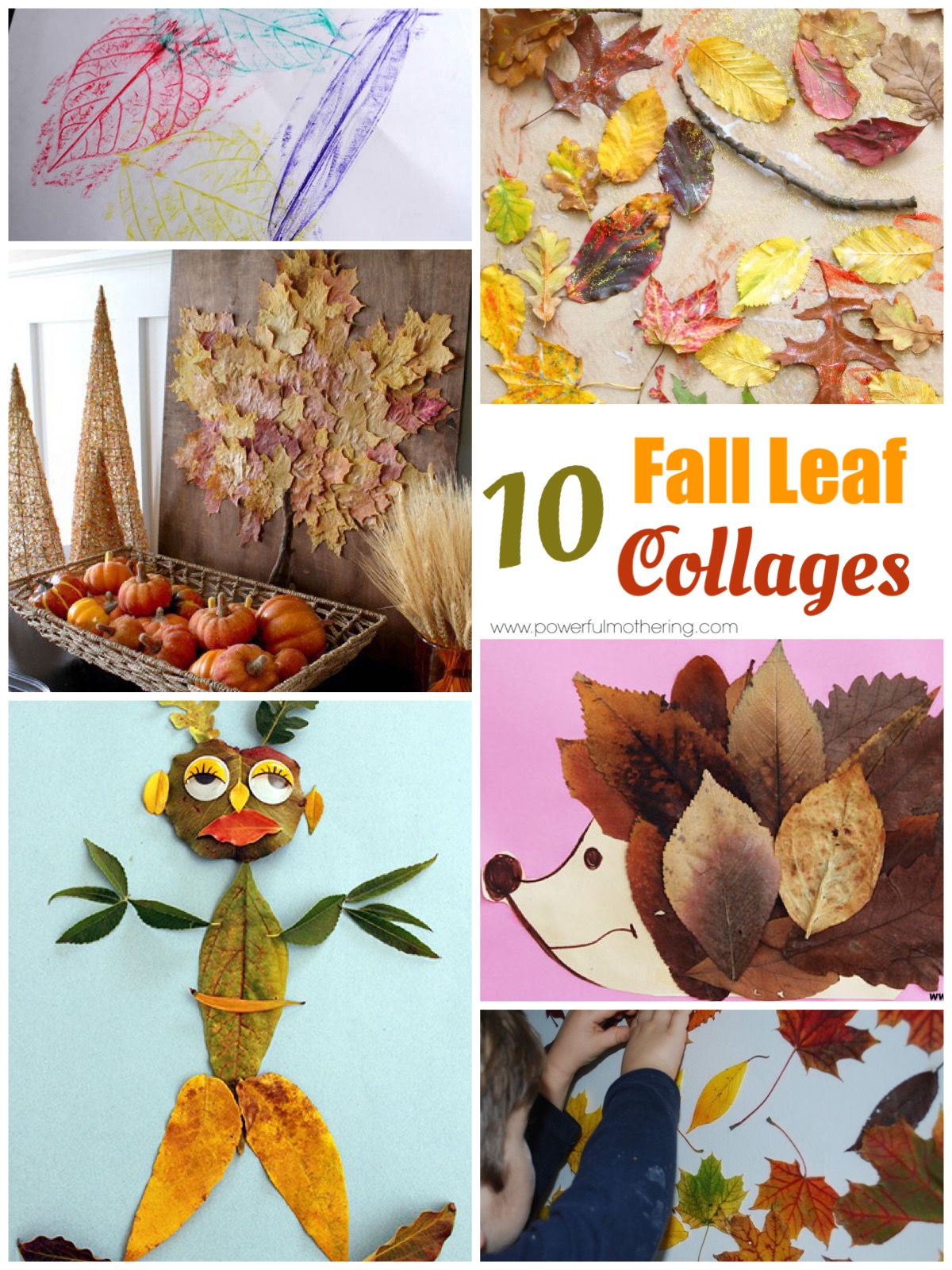 Top 10 Leaf Collages for Kids