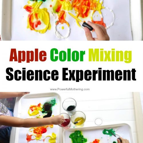 apple-color-mixing-science-experiment