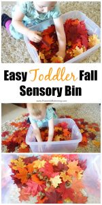 Easy Toddler Fall Sensory Bin Idea