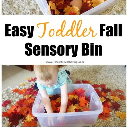 easy toddler fall sensory bin idea