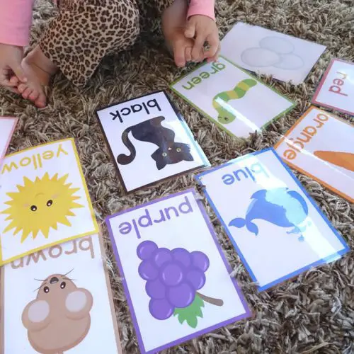 Easy Color Cards For Toddlers
