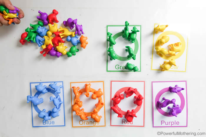 Counting And Color Sorting For Toddlers